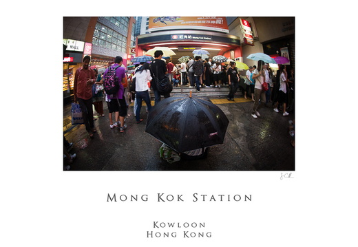 20101010- MG 2066-poster