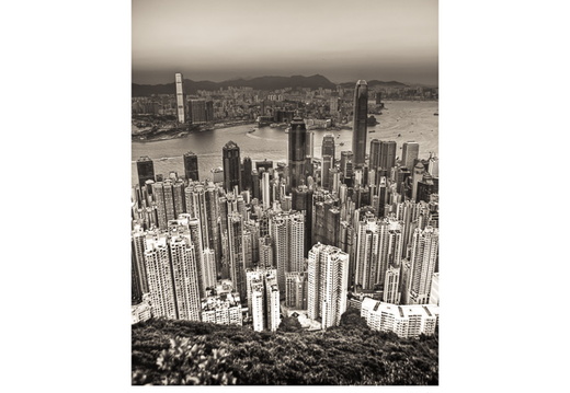 20101228- MG 1787-poster