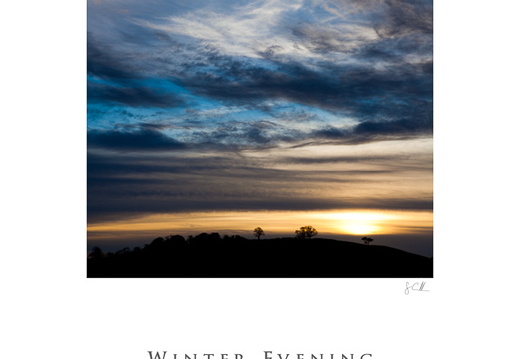 20110111- MG 2663-poster