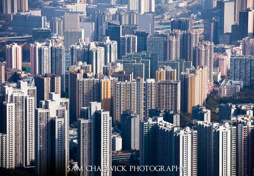 20110129- MG 3188