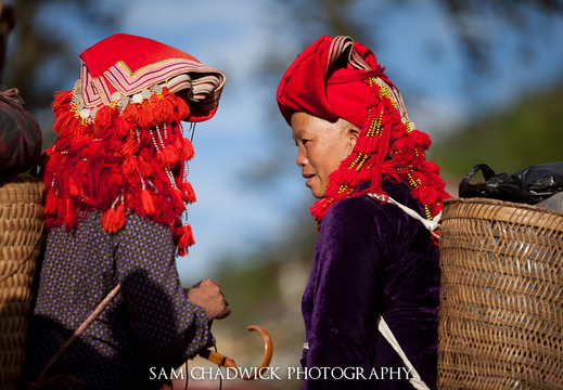 20110429- MG 96751