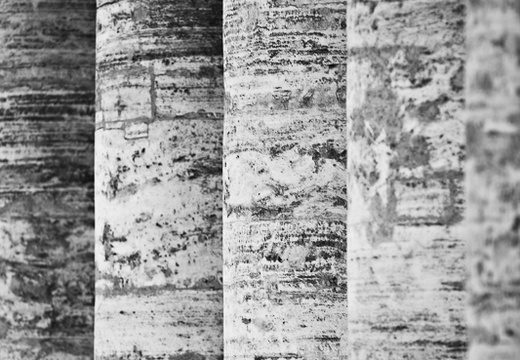 Pillars of San Pietro