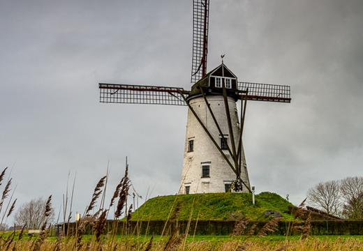 Traditional Windmill