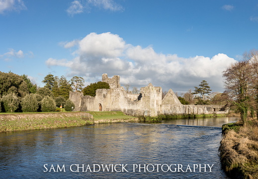 Adare Desmond Castle