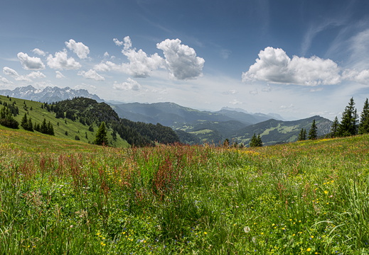 20180611- MG 8224-Edit