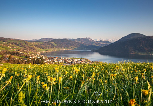 Spring evening in Oberaegeri
