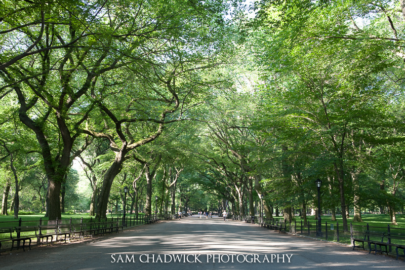 20100531-_MG_6746.jpg